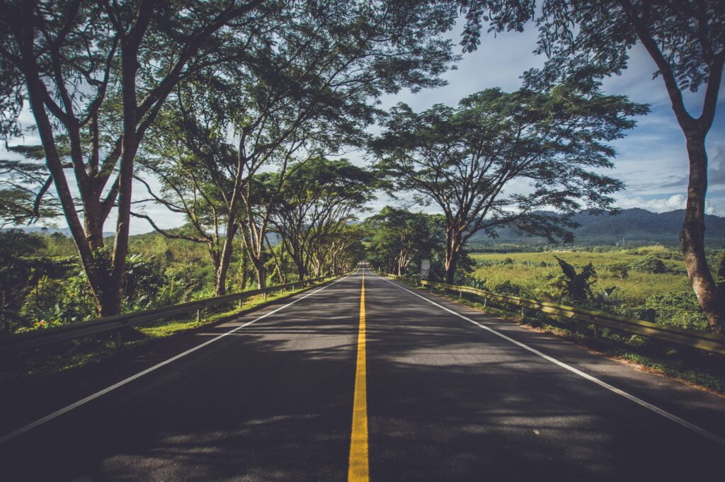 Estrada em primeiro plano com árvores que margeiam o caminho. Faltam dicas de viagem para definir o destino.